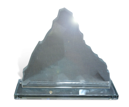 Форма из оптического стекла*11 МП-15299