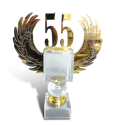 Приз «55 лет» МС-10892