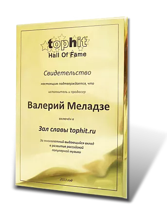 Диплом TOP-HIT МС-11149