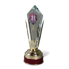 Конкурсные награды для юристов